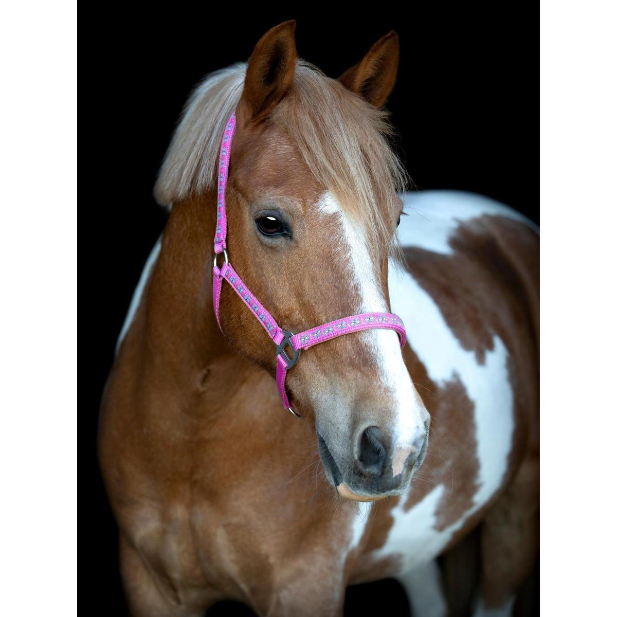 product/h/o/horseguard_50613010102_phlox-pink_2.jpg