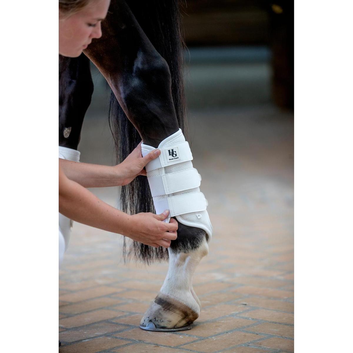 product/h/o/horseguard_506142008_white_2.jpg