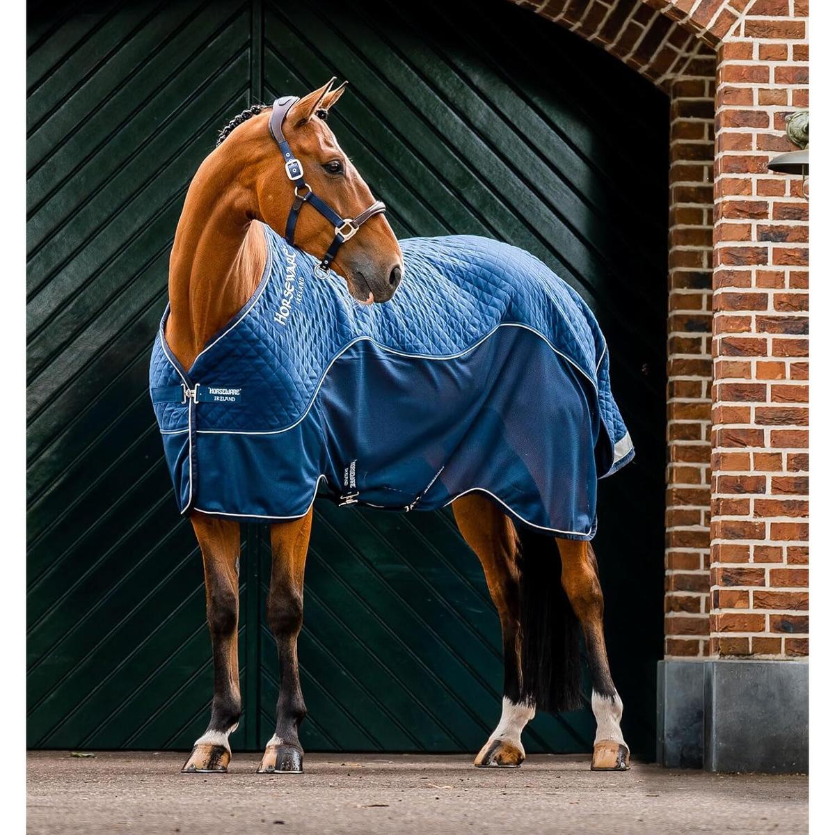 product/h/o/horseware_achgm2-b000-66_navy_2.jpg
