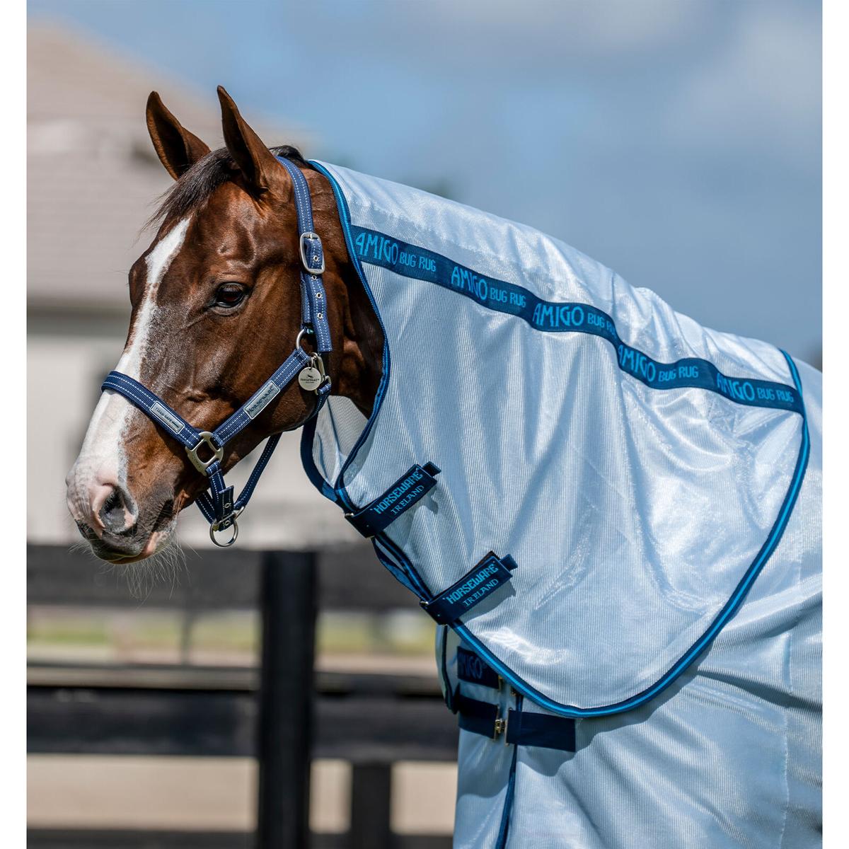 product/h/o/horseware_afrngp-cbe0-66_azure-blue-navy-electric-blue_2.jpg