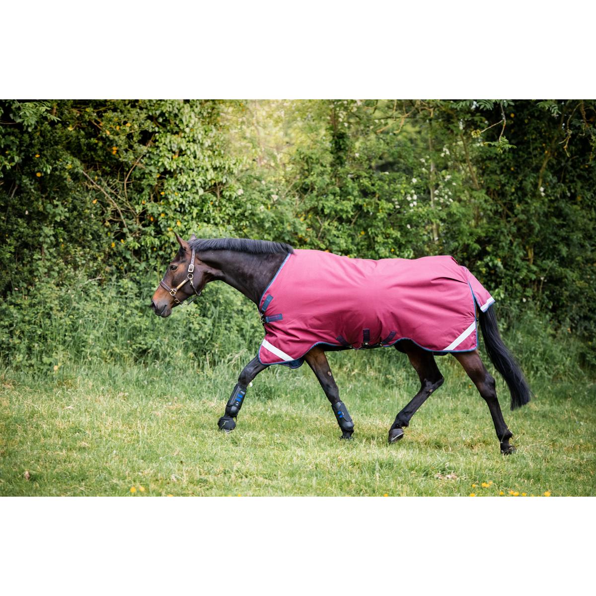 product/h/o/horseware_hwaaaa05bona.jpg