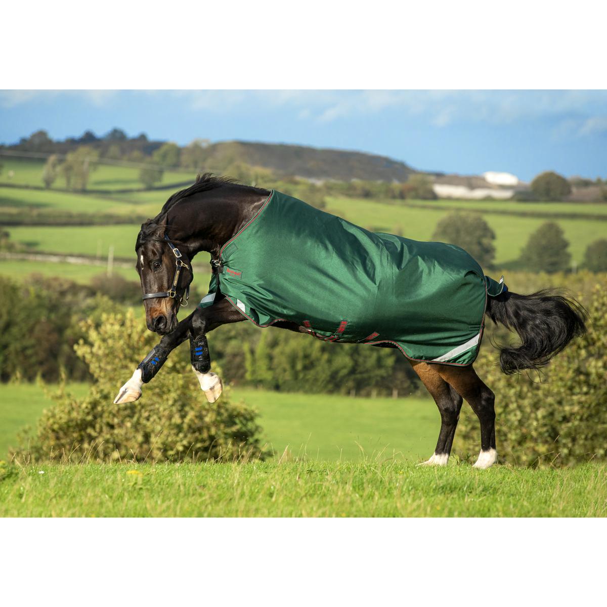 product/h/o/horseware_hwaaaa06grre_mag3839054_1.jpg