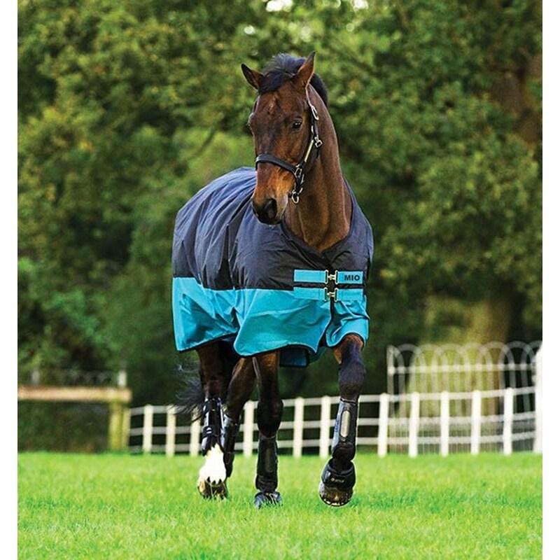 product/h/o/horseware_hwaasa41bktu.jpg