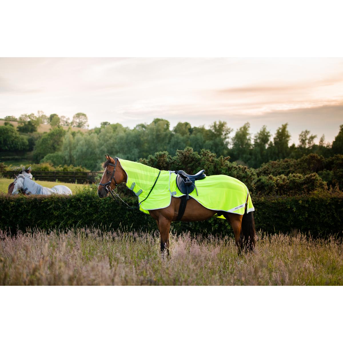 product/h/o/horseware_hwafre10fluo_1.jpg