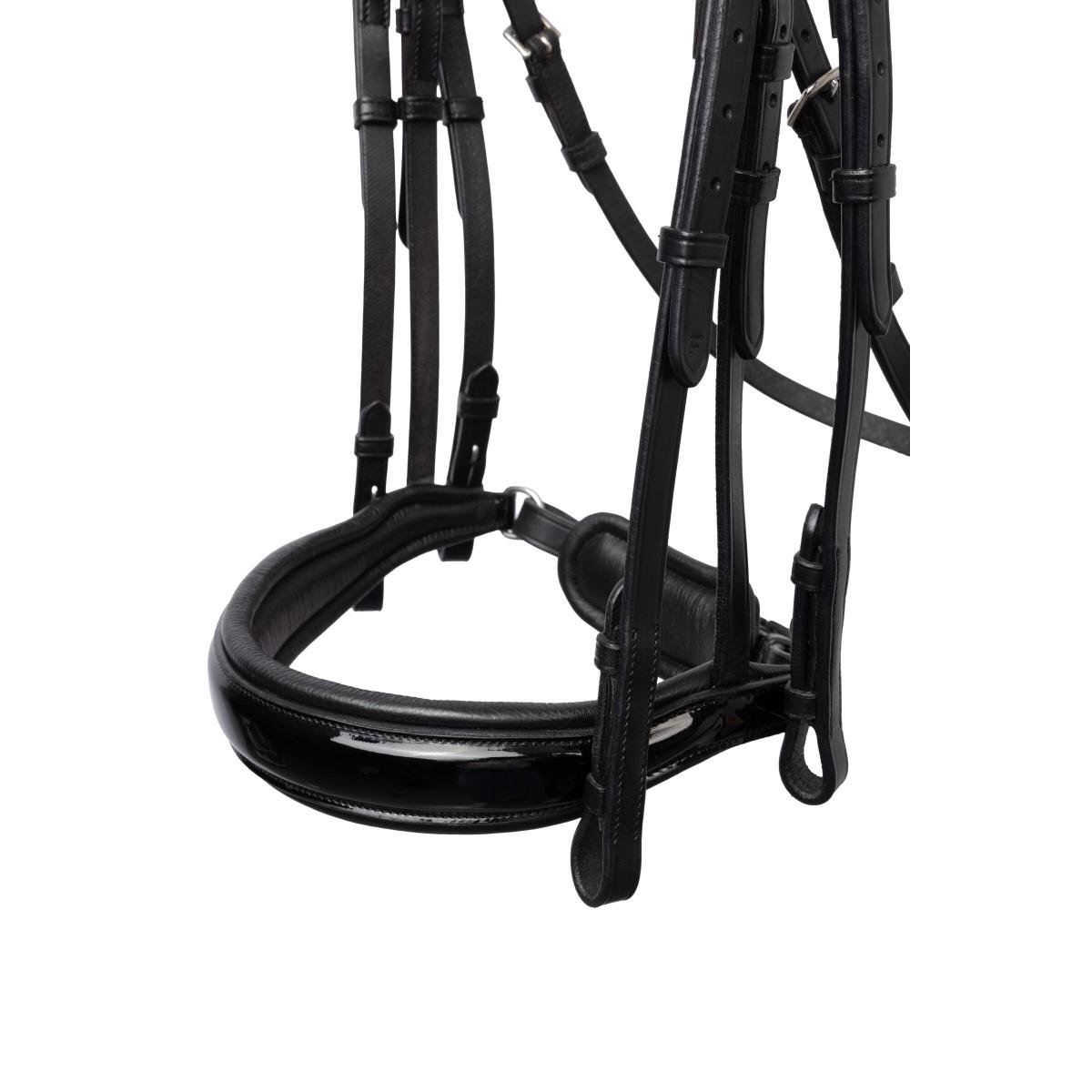 product/h/o/horze_24mc1-099_black_3.jpg