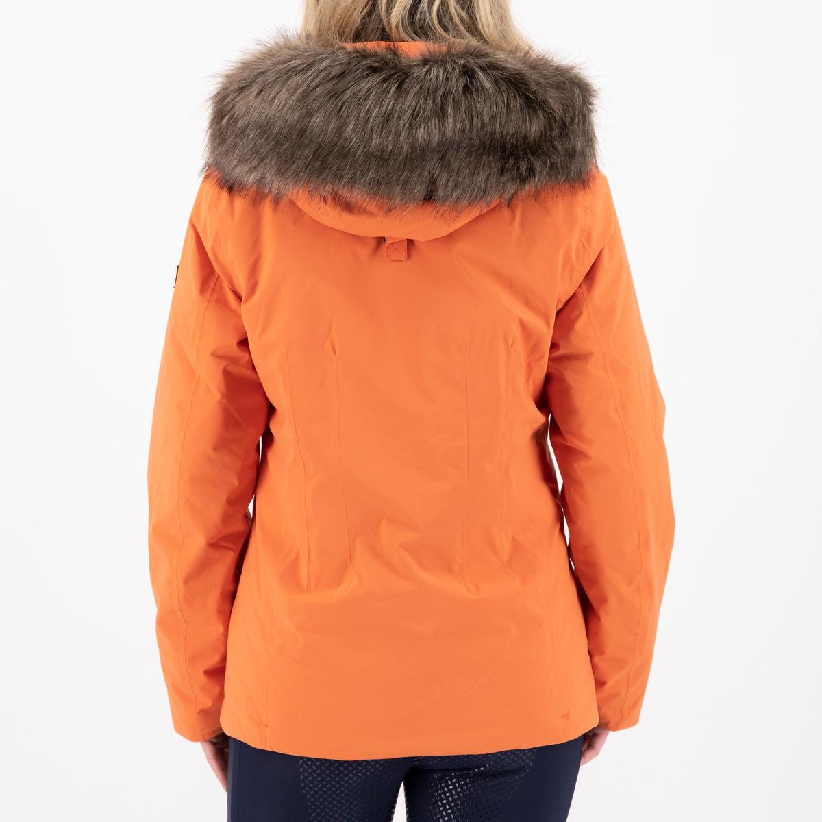 product/h/v/hv-polo_0406093555-3087_2.jpg