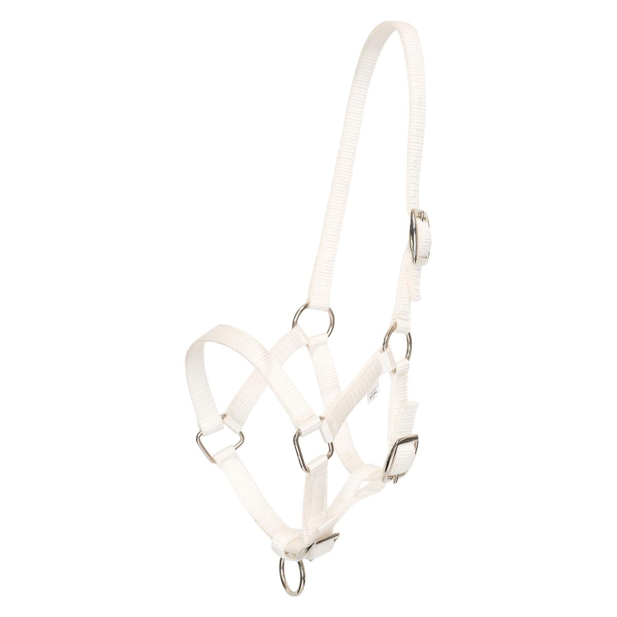 product/h/v/hv-polo_1601093700-0001_white_1.jpg