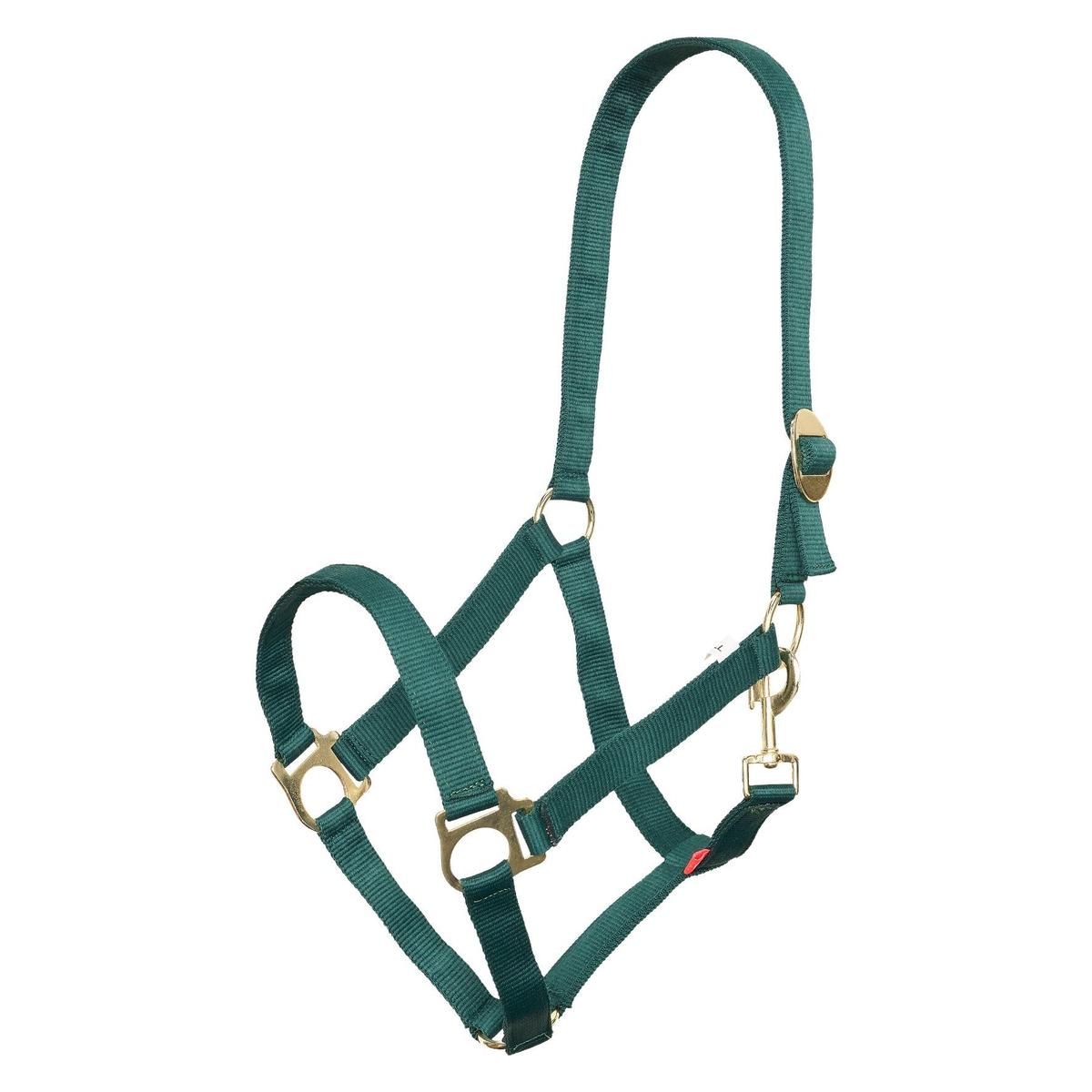 product/i/m/imperial-riding_1601000060-6080_forest-green_1.jpg