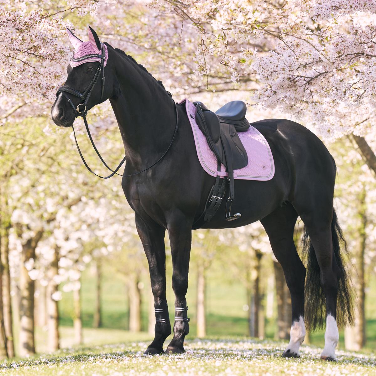 product/i/m/imperial-riding_zt78124004-3204_ballerina_2.jpg