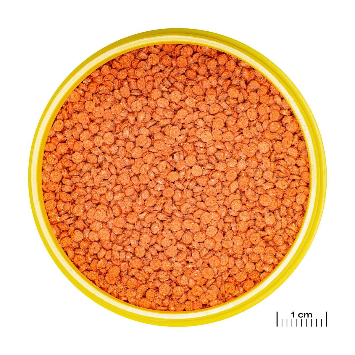 product/j/b/jbl_jb312200_marron_1.jpg