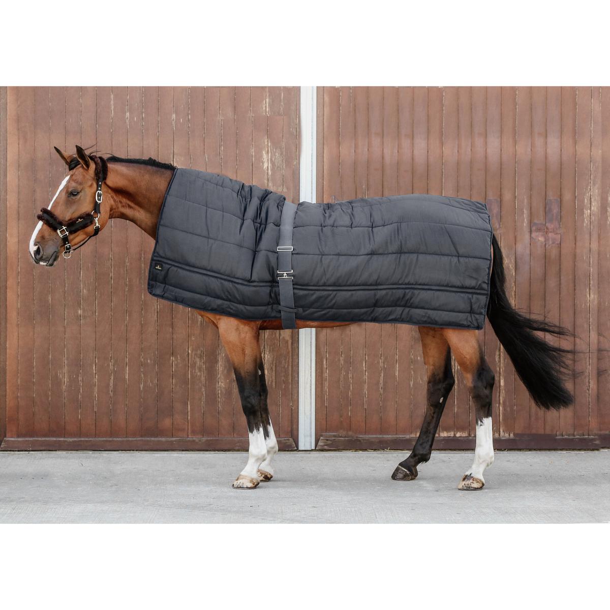 product/k/e/kentucky_42144-01-f_2.jpg