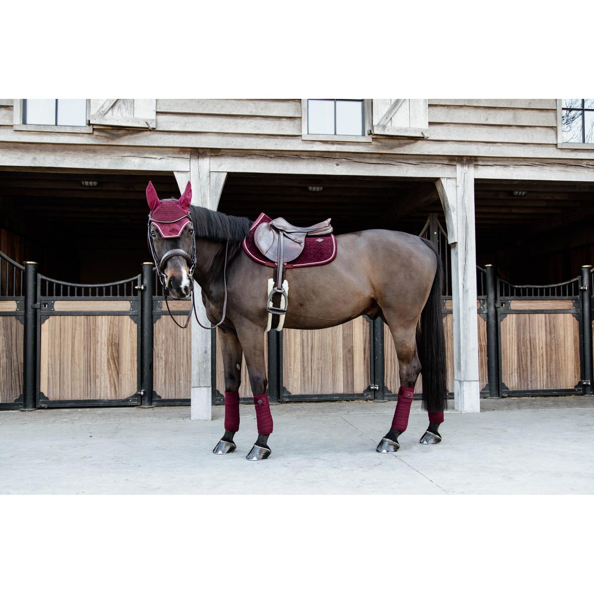 product/k/e/kentucky_42579-17-sj-cob_0.jpg