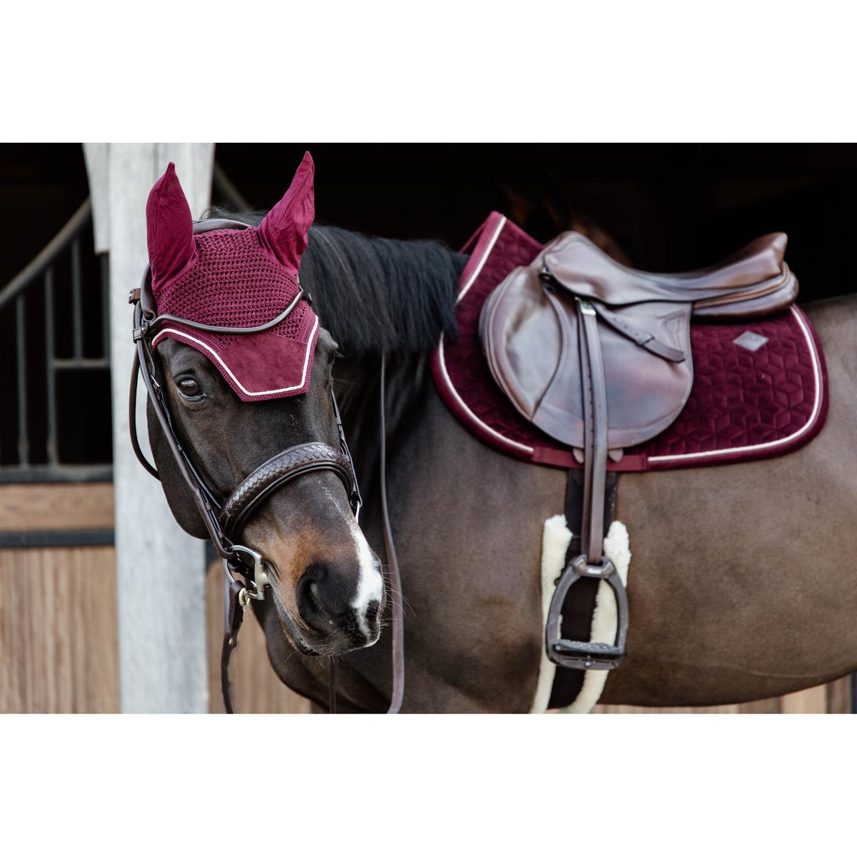 product/k/e/kentucky_42579-17-sj-cob_1.jpg