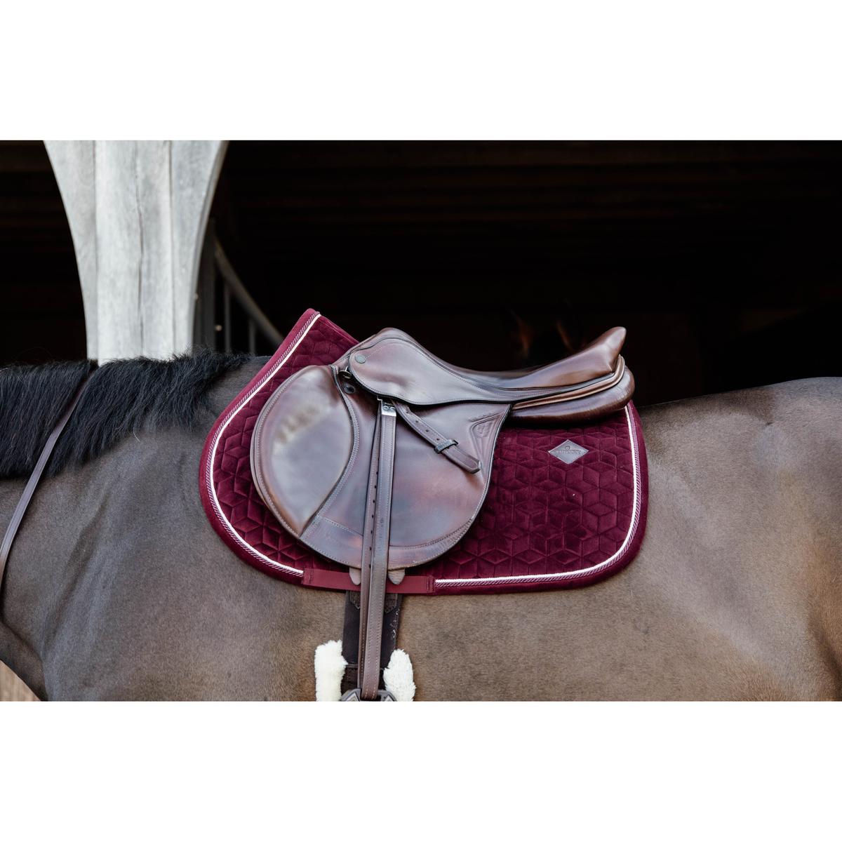 product/k/e/kentucky_42579-17-sj-cob_2.jpg