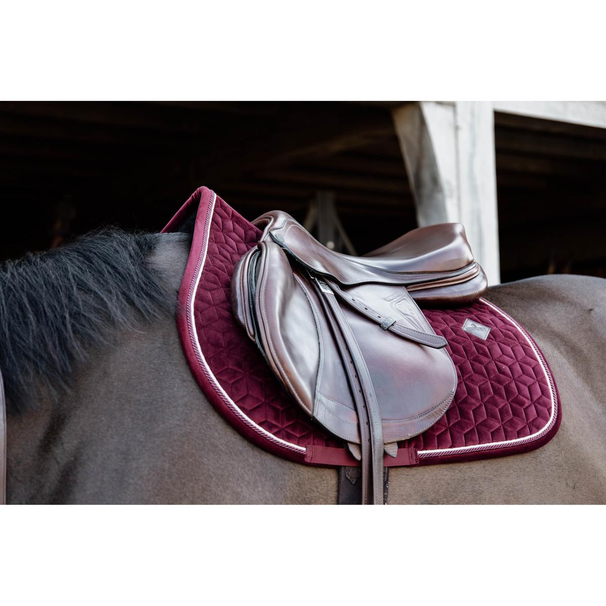 product/k/e/kentucky_42579-17-sj-cob_5.jpg