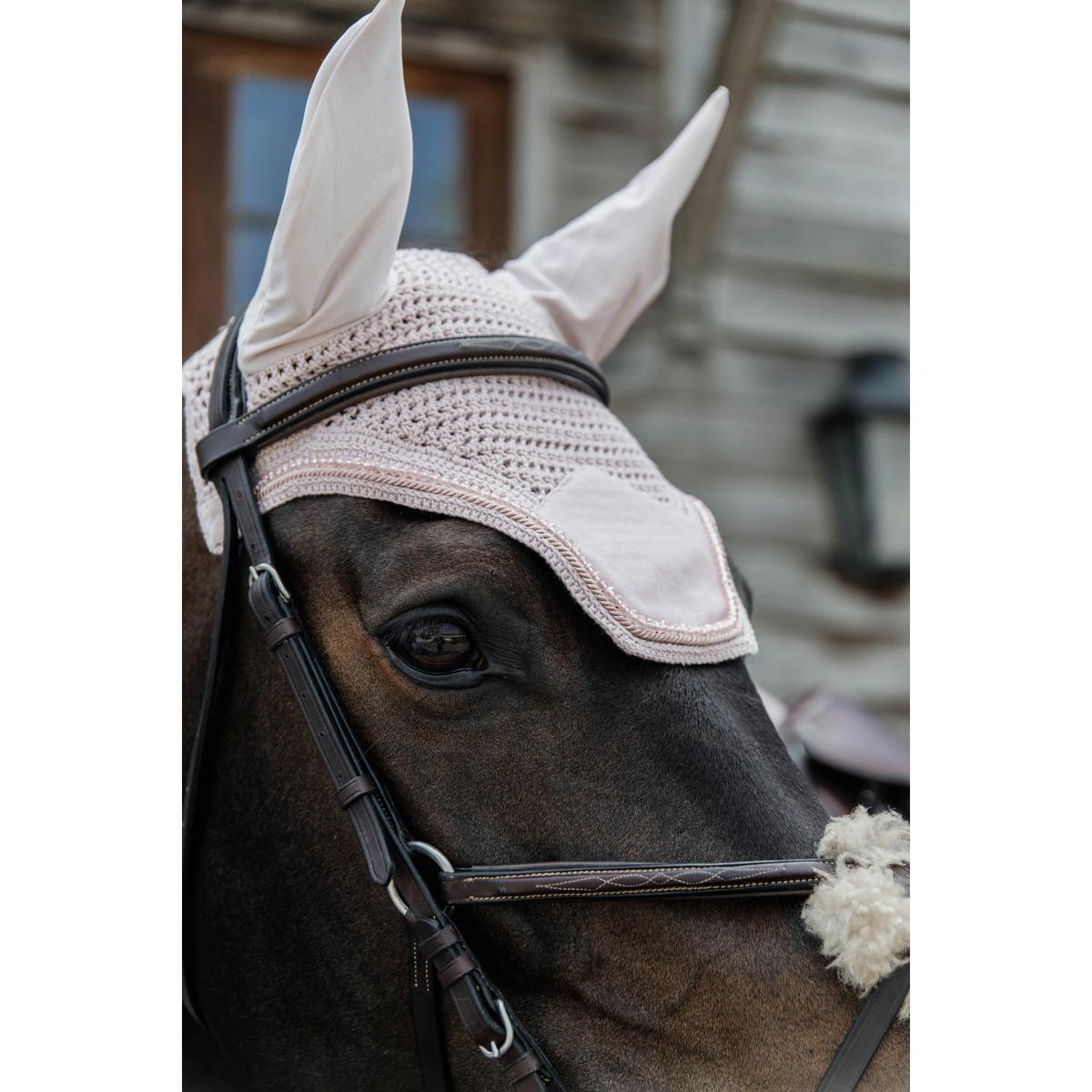 product/k/e/kentucky_42629-50_4.jpg