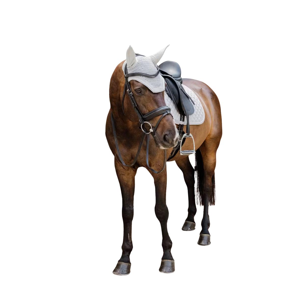 product/k/e/kentucky_42667-08-f_gris_1.jpg