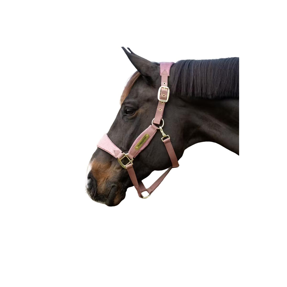 product/k/e/kentucky_42674-10-cob_vieux-rose_1.jpg