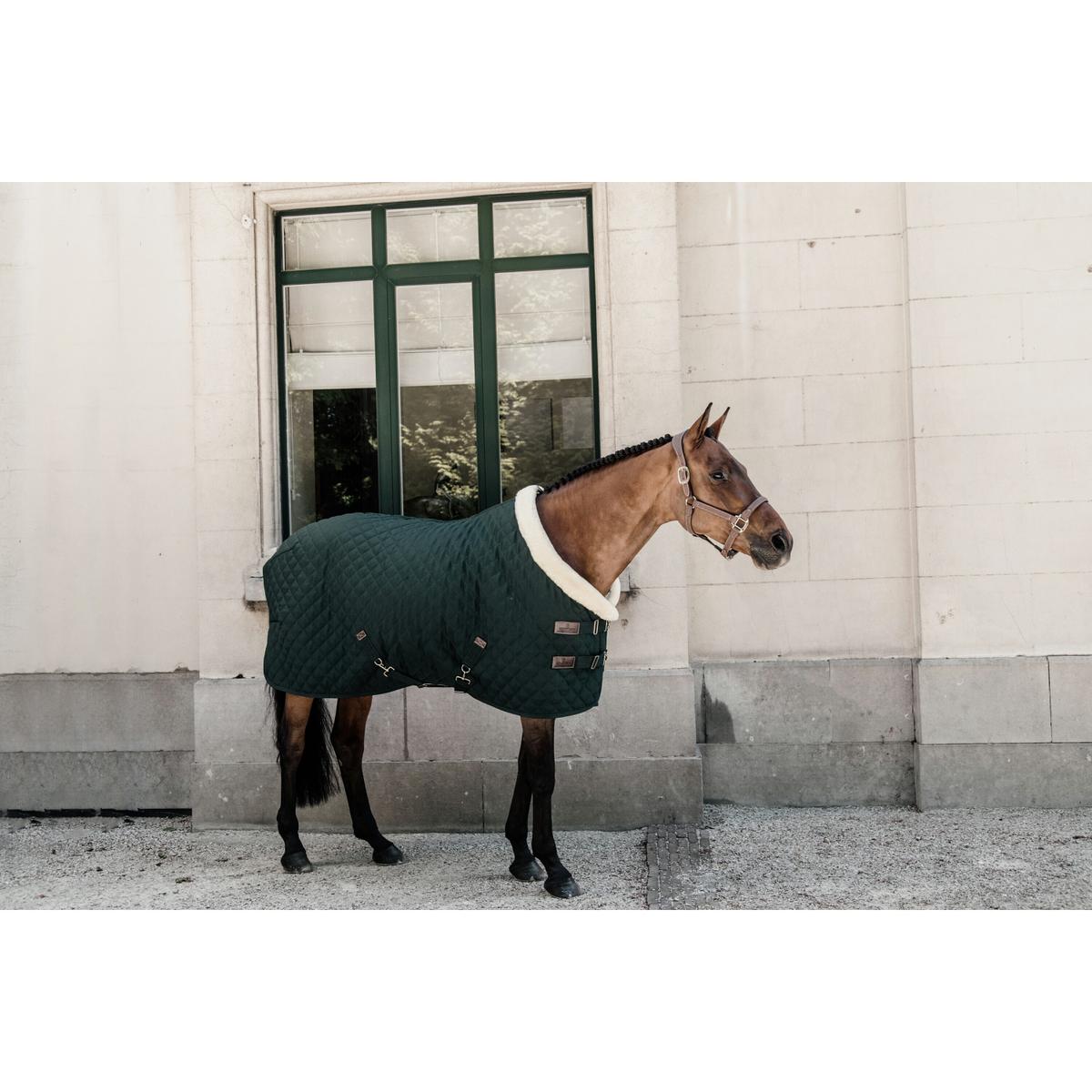 product/k/e/kentucky_52101-73_2.jpg