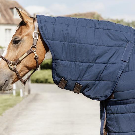 product/k/e/kentucky_52216-03-130_navy_3.jpg