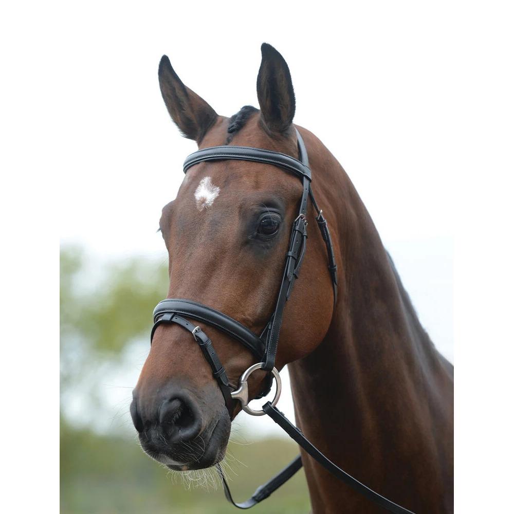 product/k/i/kincade_228373_black_1.jpg