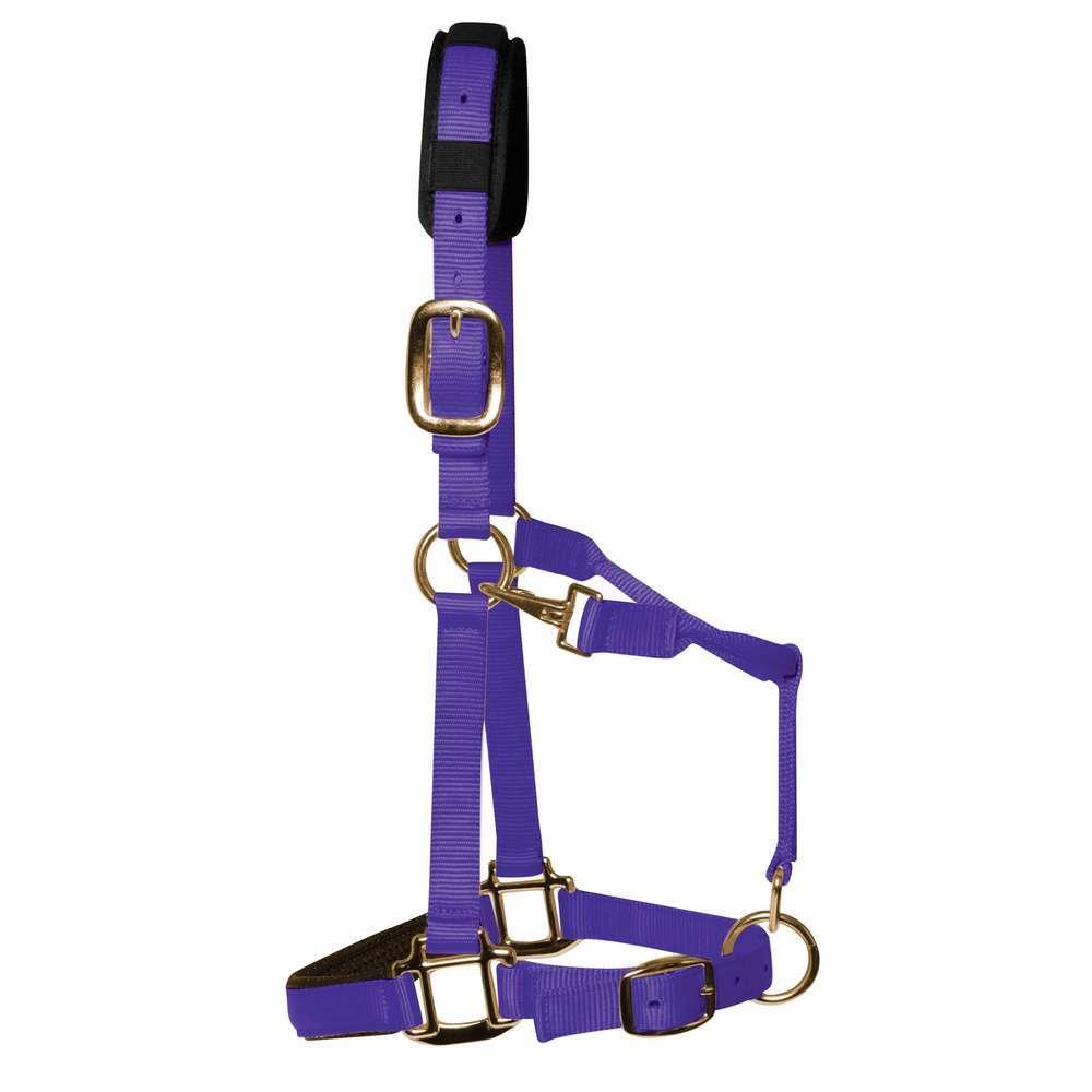 product/k/m/km-elite_hppc_purple_1.jpg