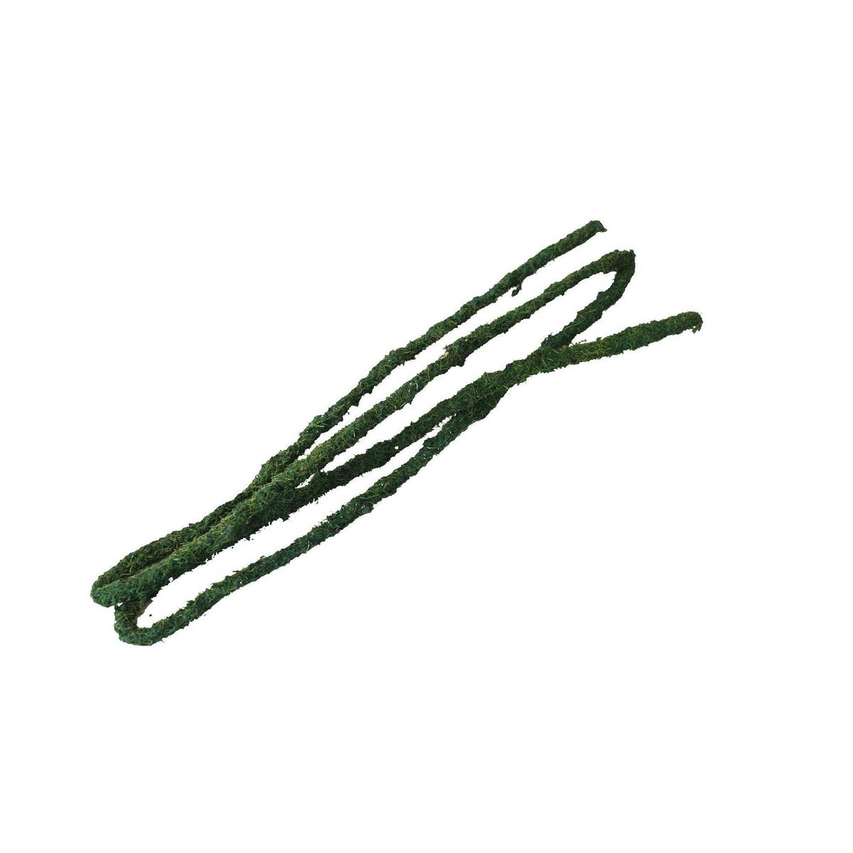 product/k/o/komodo_ko82705_vert_2.jpg