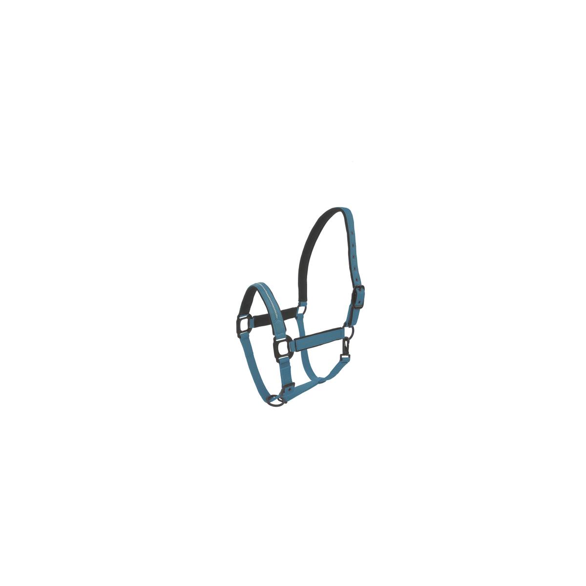 product/l/a/lami-cell_555026017_turquoise_1.jpg