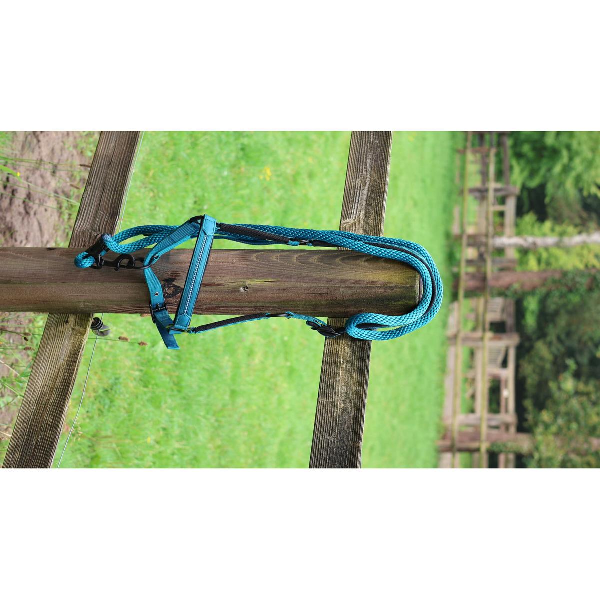 product/l/a/lami-cell_555026017_turquoise_2.jpg