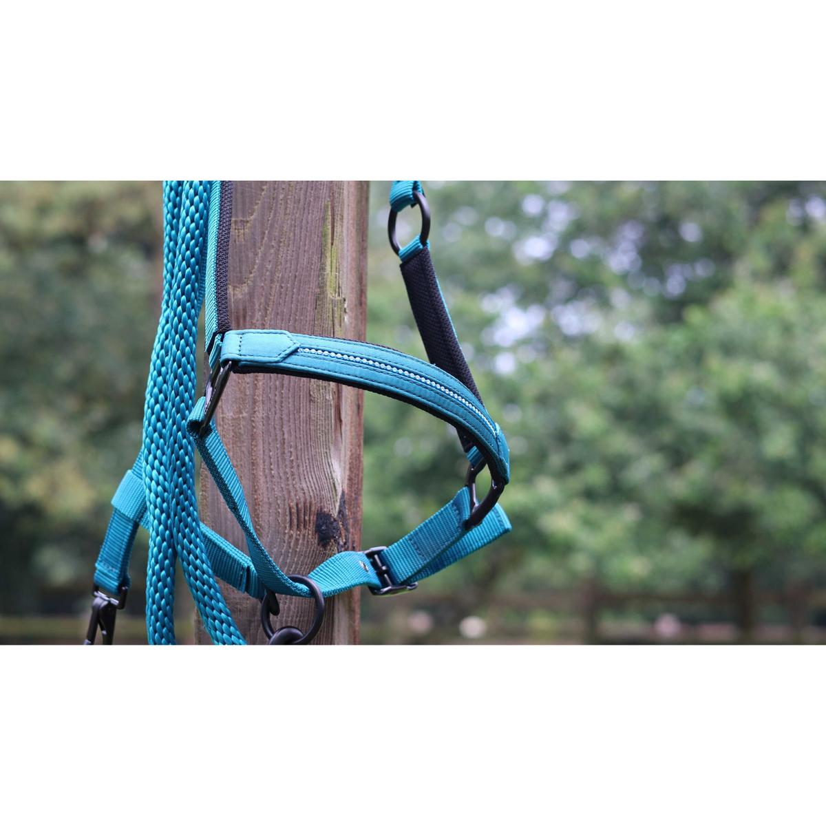 product/l/a/lami-cell_555026017_turquoise_5.jpg