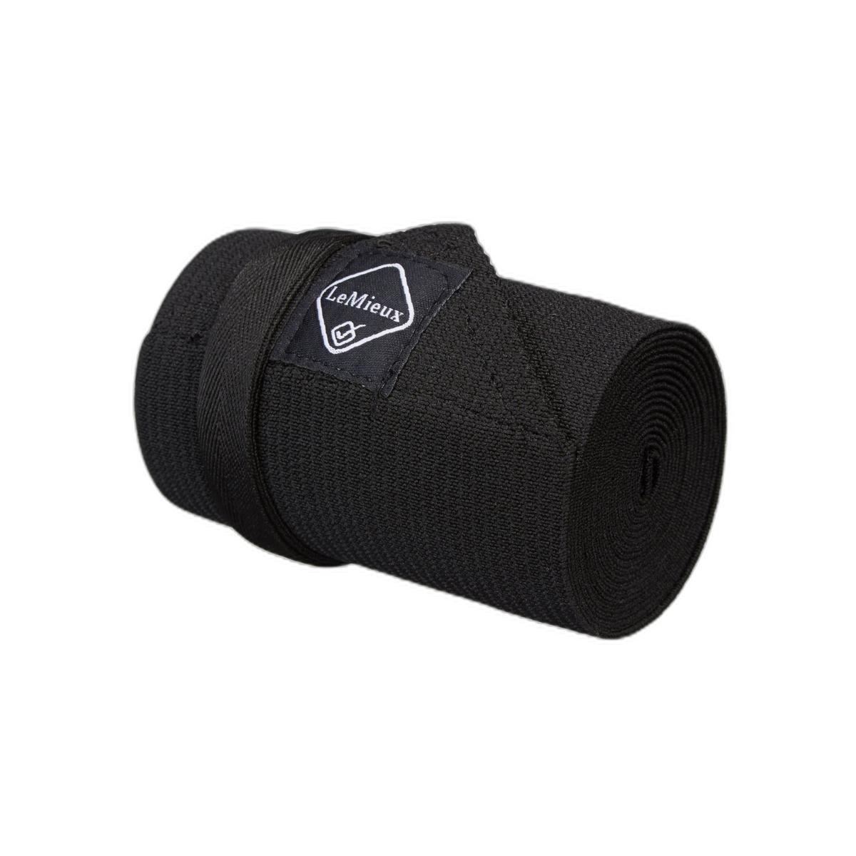 product/l/e/lemieux_it00429.jpg