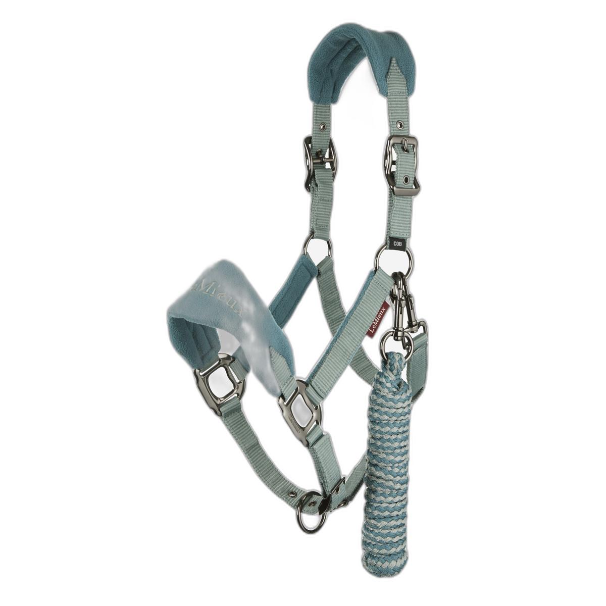product/l/e/lemieux_it00841_2.jpg