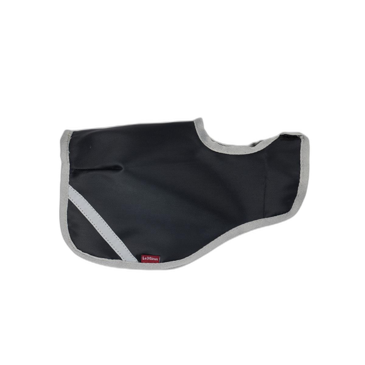product/l/e/lemieux_it03379001_1.jpg