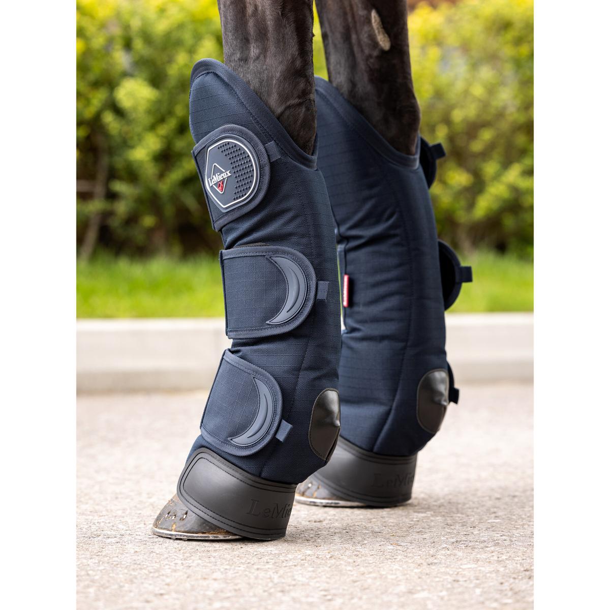 product/l/e/lemieux_it04495007_2.jpg
