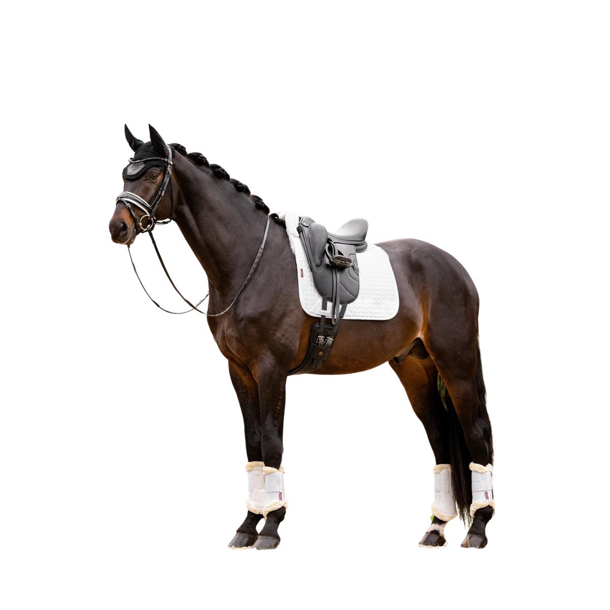 product/l/e/lemieux_it04884004_white_2.jpg