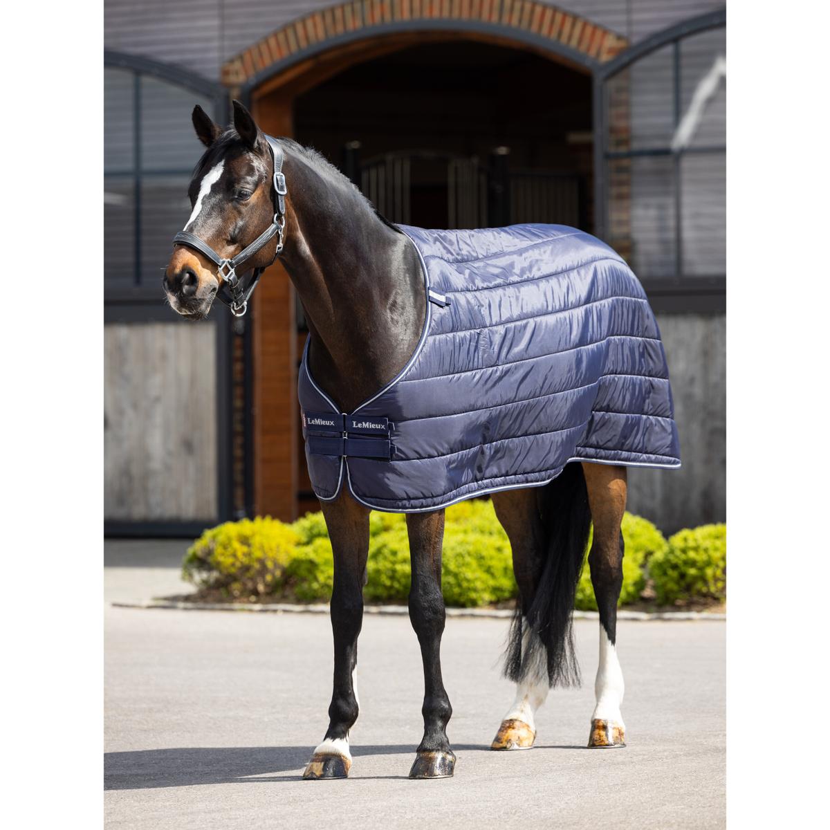 product/l/e/lemieux_it05853025_navy_2.jpg
