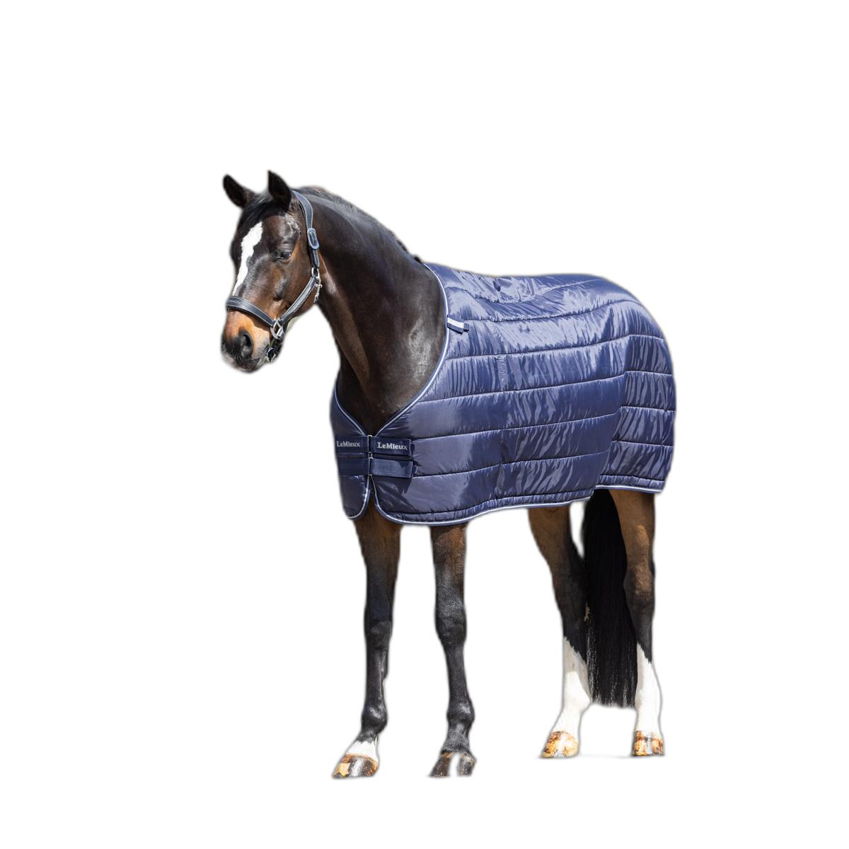 product/l/e/lemieux_it05854025_navy_1.jpg