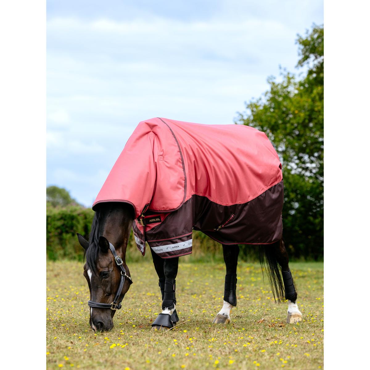 product/l/e/lemieux_it07065025_cranberry_3.jpg