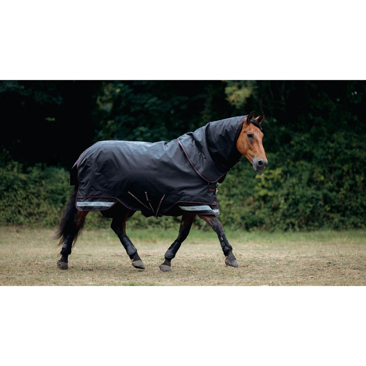 product/l/e/lemieux_it07074025_noir_3.jpg