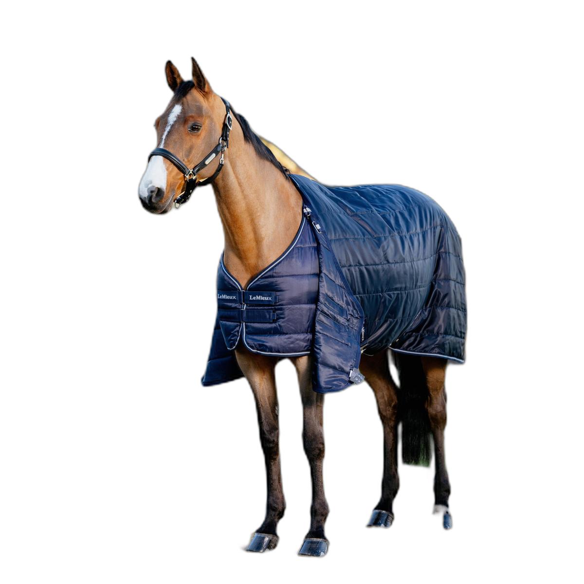 product/l/e/lemieux_it08140025_navy_2.jpg