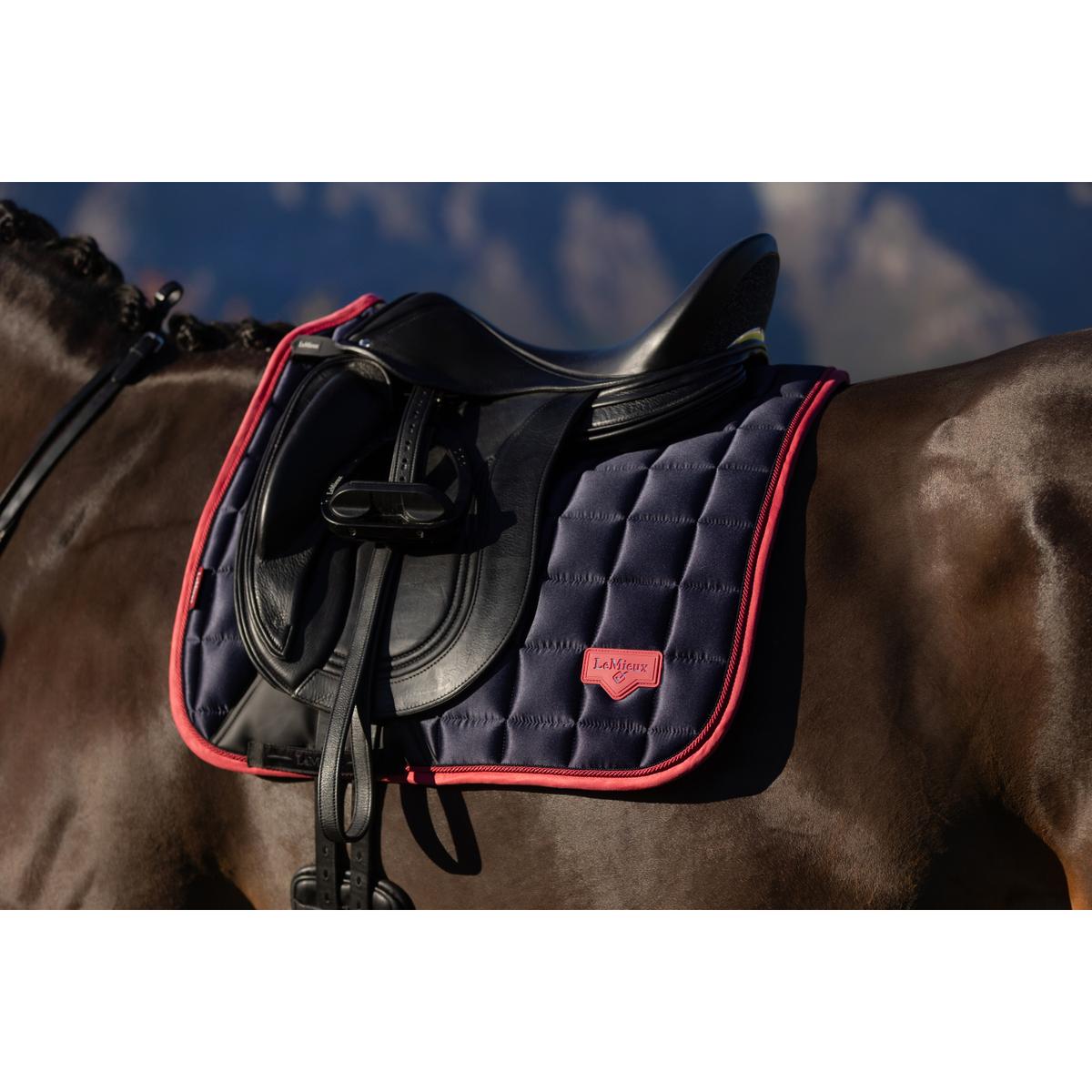 product/l/e/lemieux_it08148_012.jpg