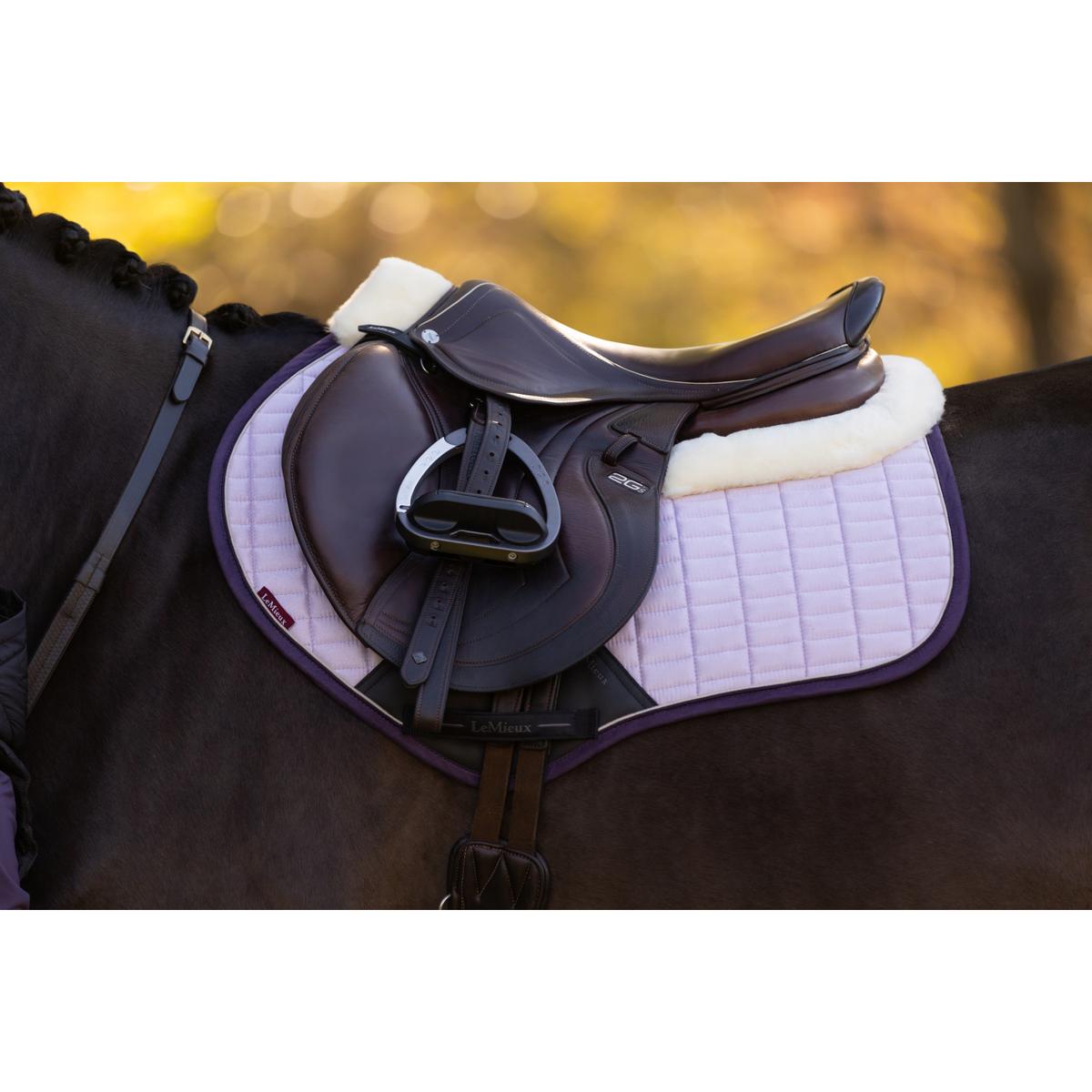 product/l/e/lemieux_it08169_006.jpg