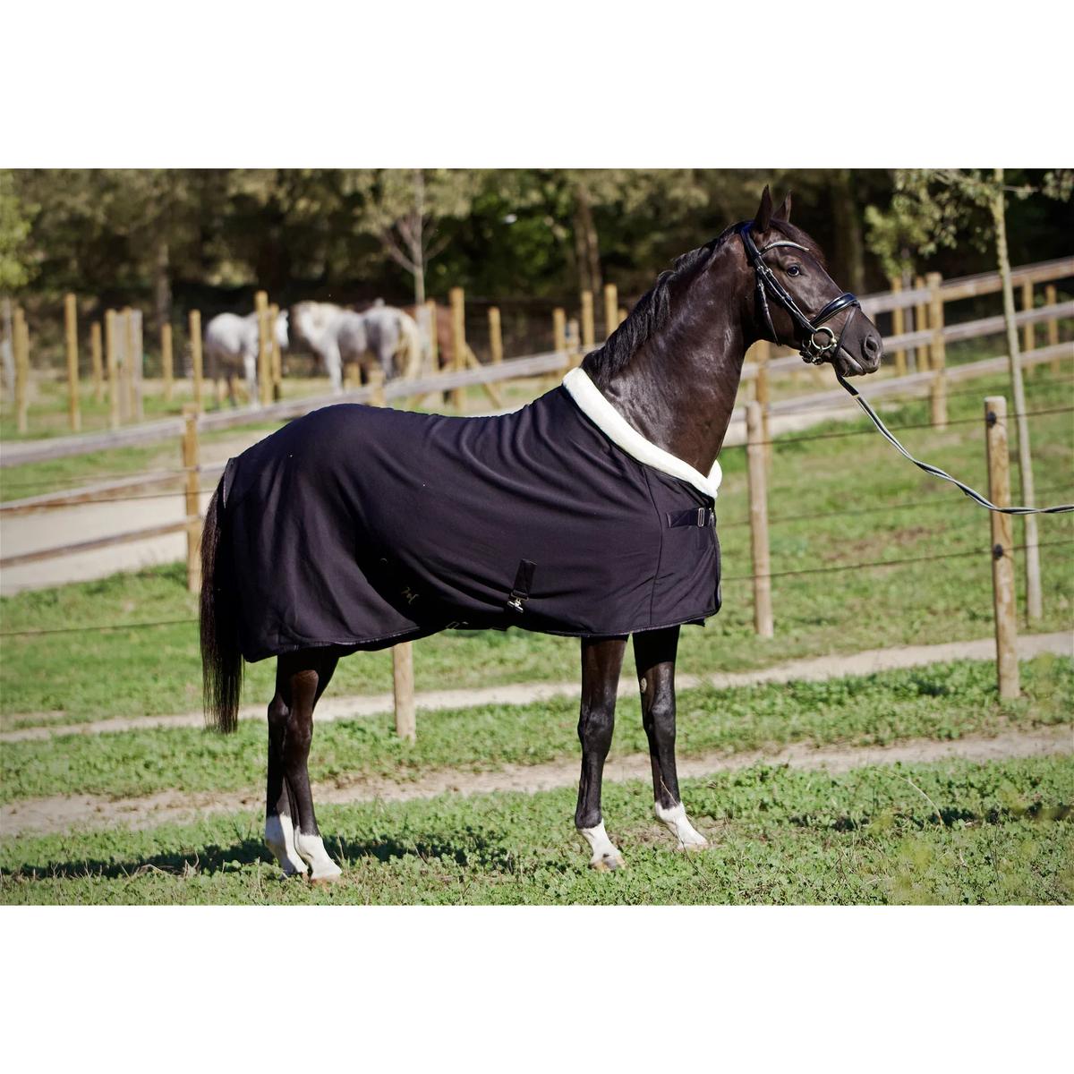 product/m/o/montar_81202-4_black_5.jpg