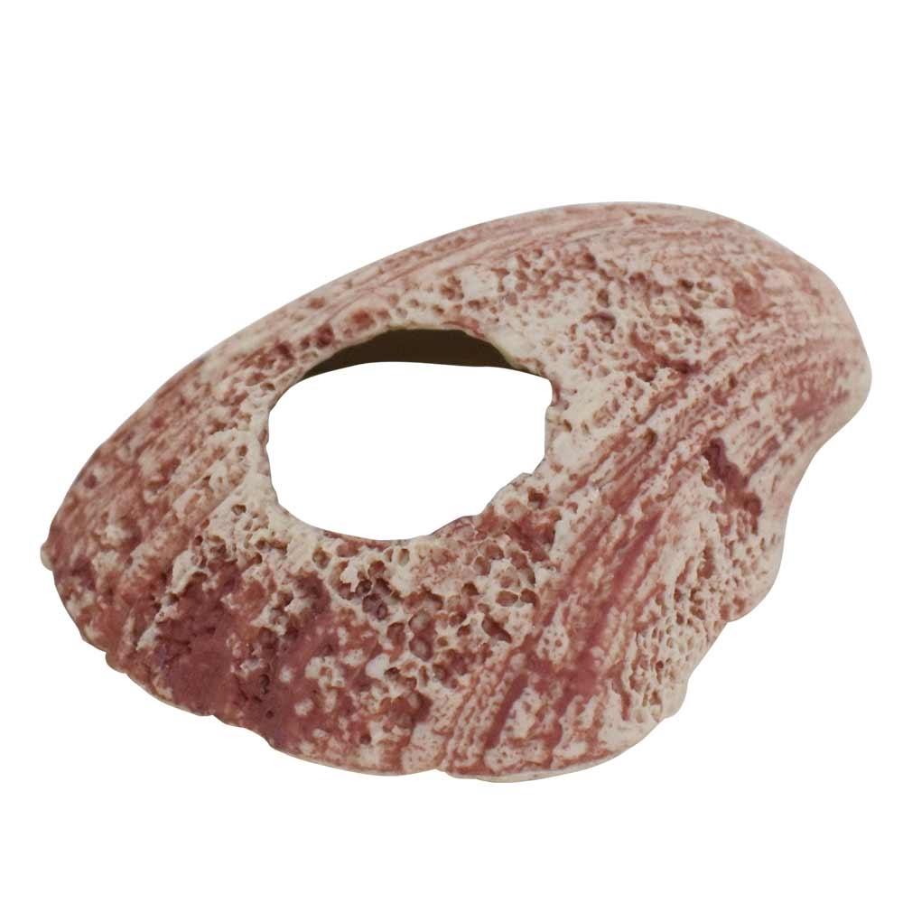 product/n/o/nobby-pet_28729_beige_1.jpg