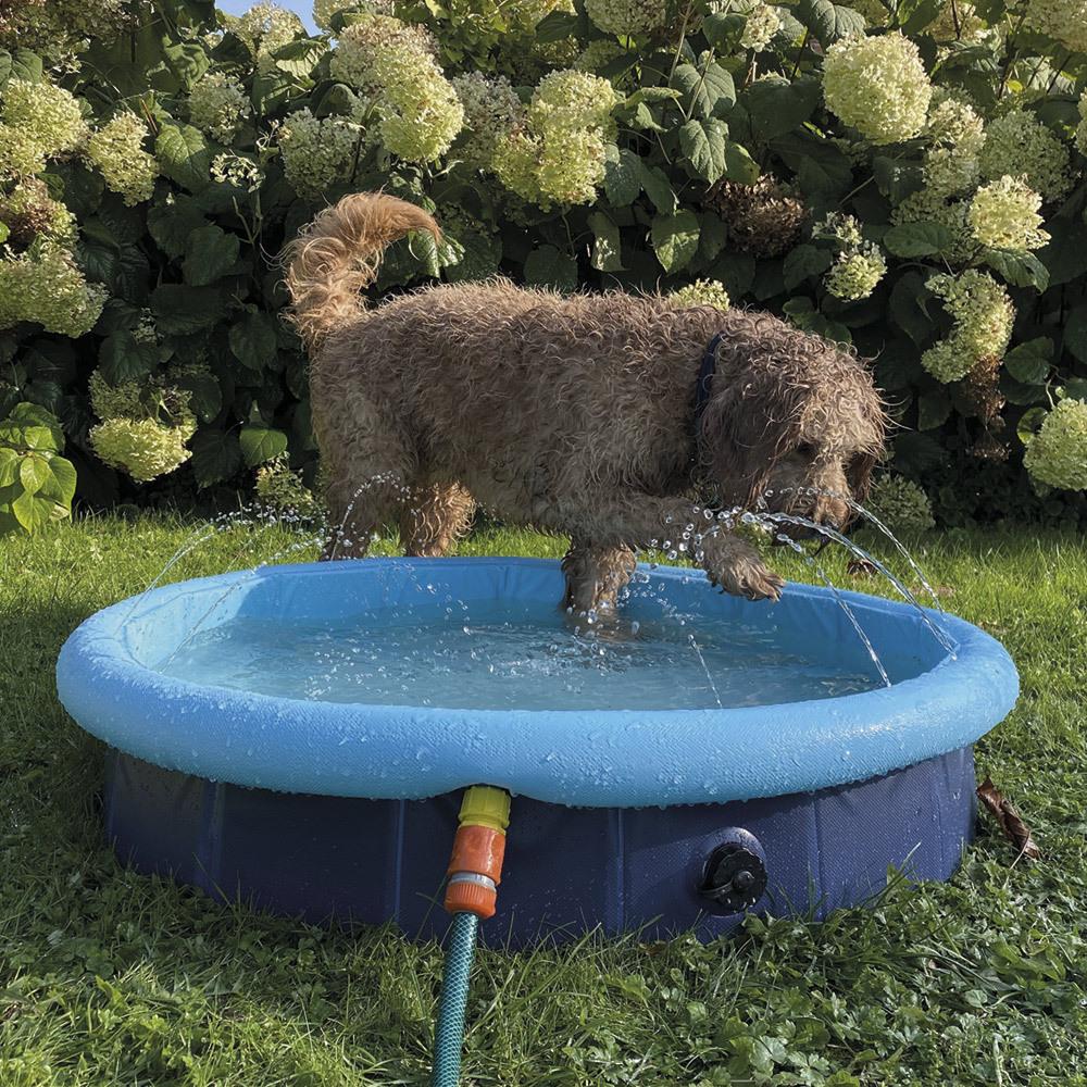 product/n/o/nobby-pet_62297_1.jpg