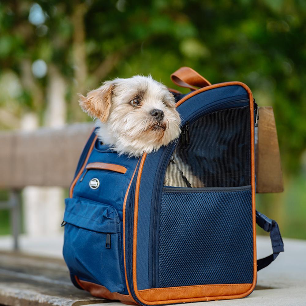 product/n/o/nobby-pet_63988_2.jpg