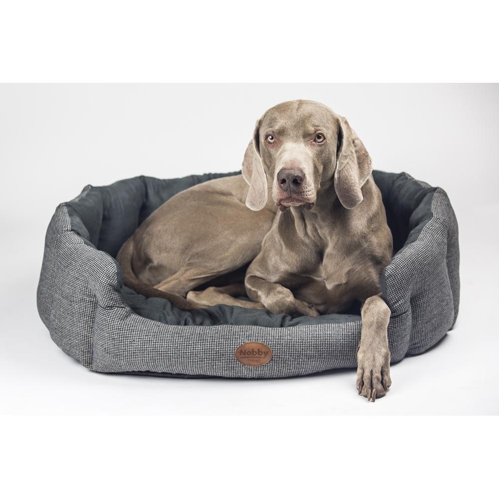 product/n/o/nobby-pet_70757_1.jpg