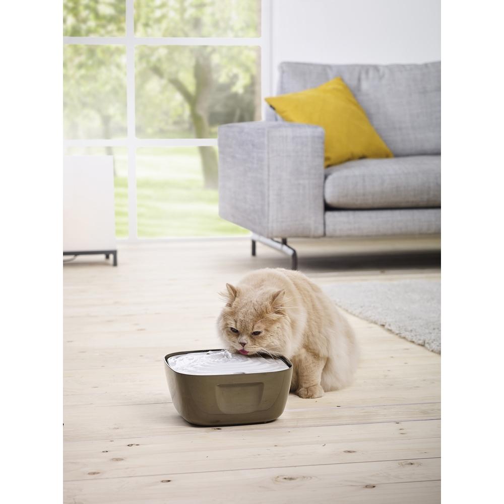 product/n/o/nobby-pet_72236_0.jpg