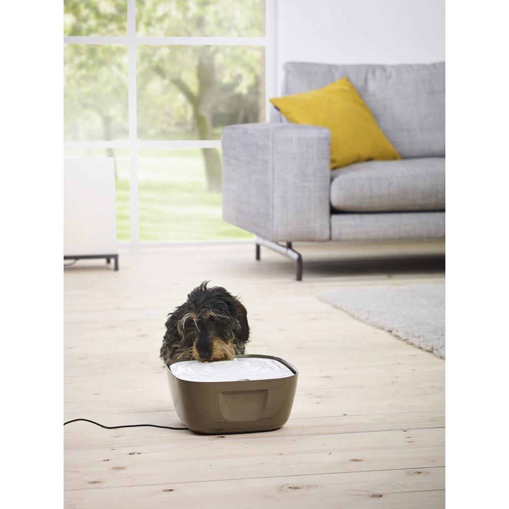 product/n/o/nobby-pet_72236_2.jpg