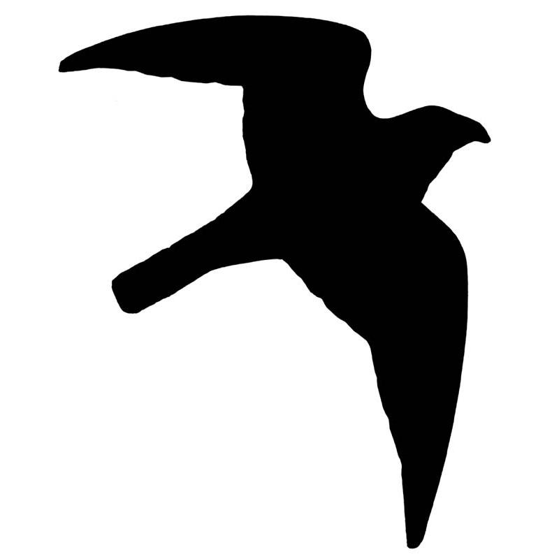 product/n/o/nobby-pet_93301.jpg